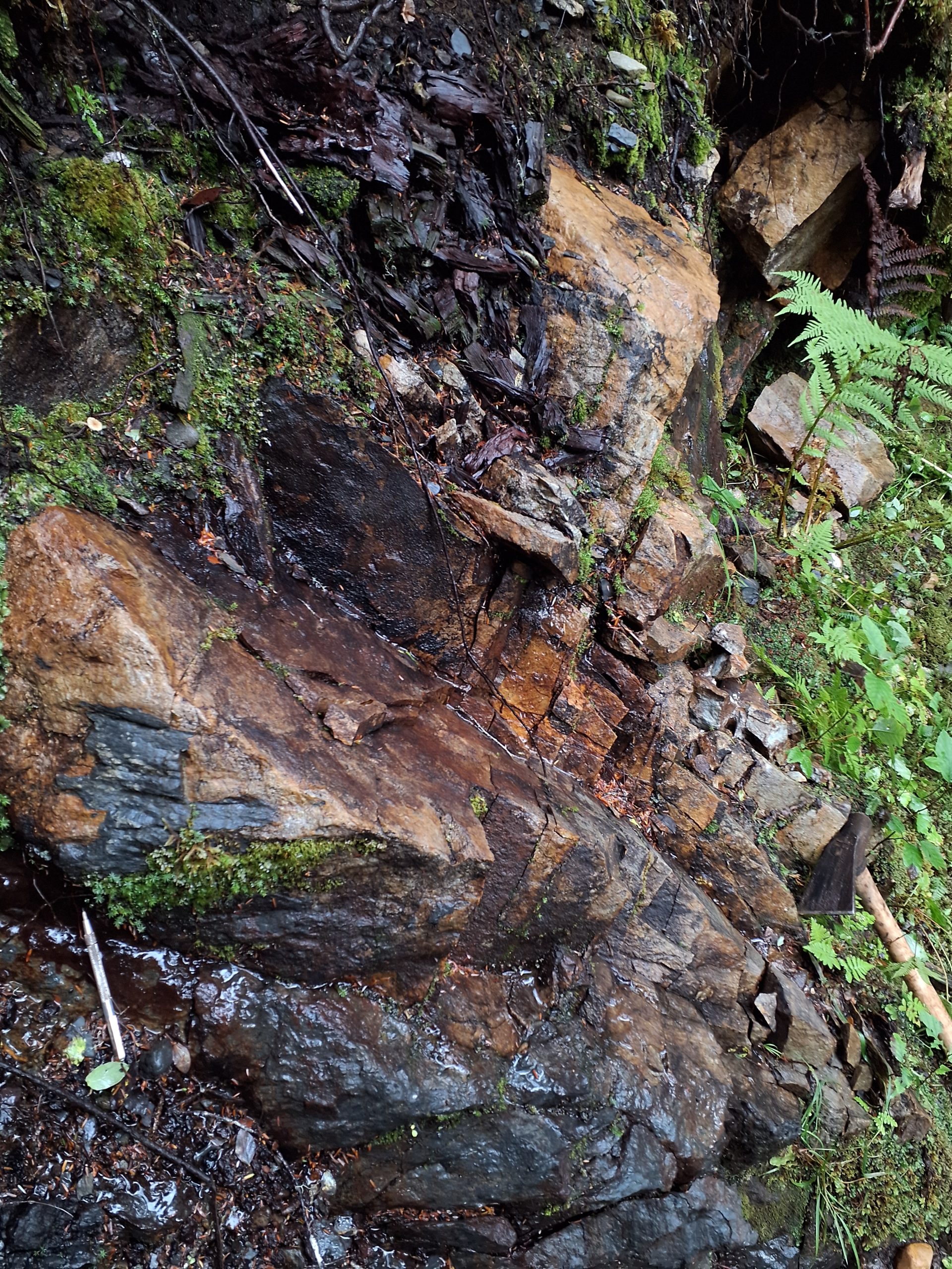 Frenchie Property, Alaska