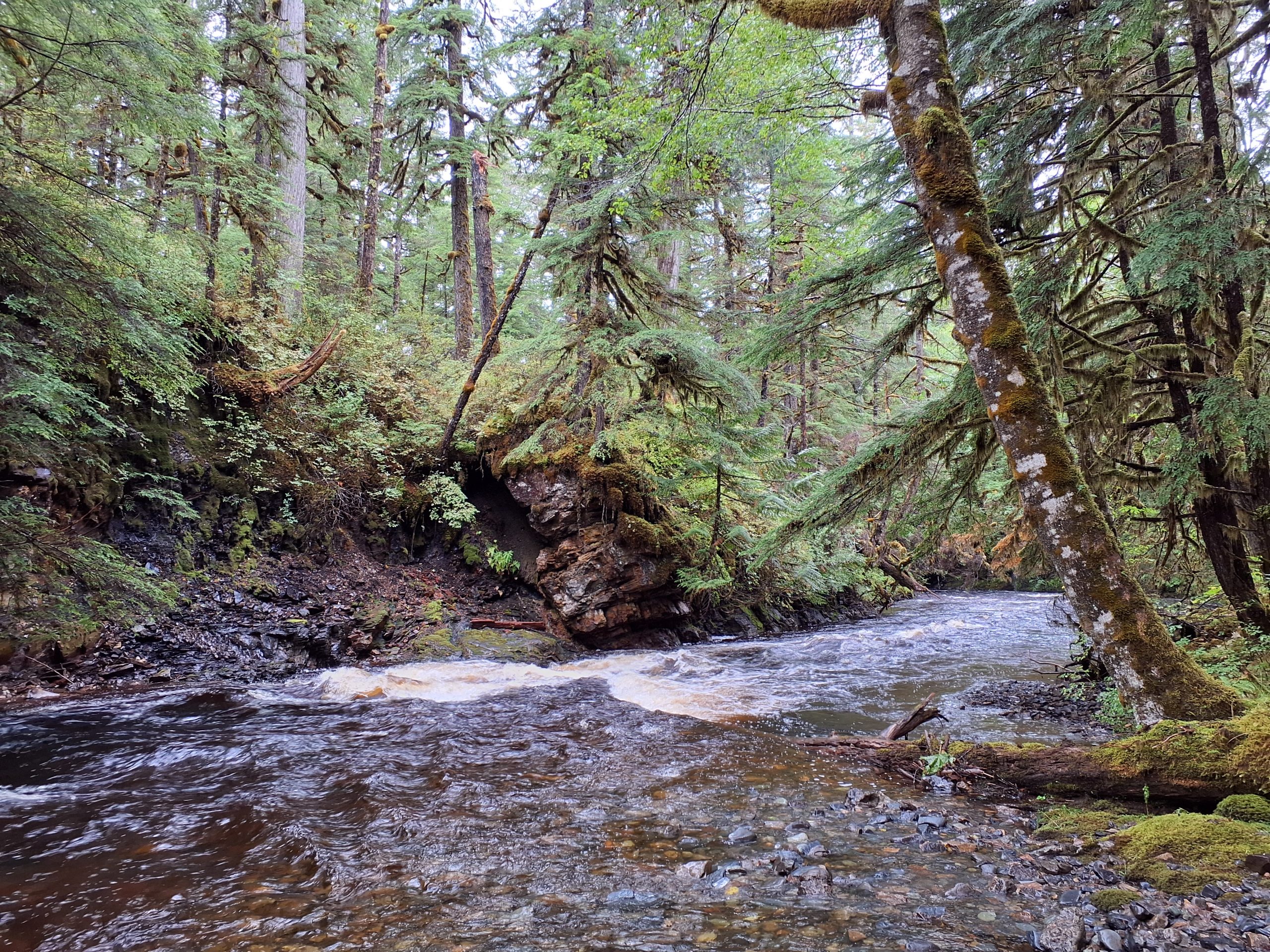 Frenchie Property, Alaska