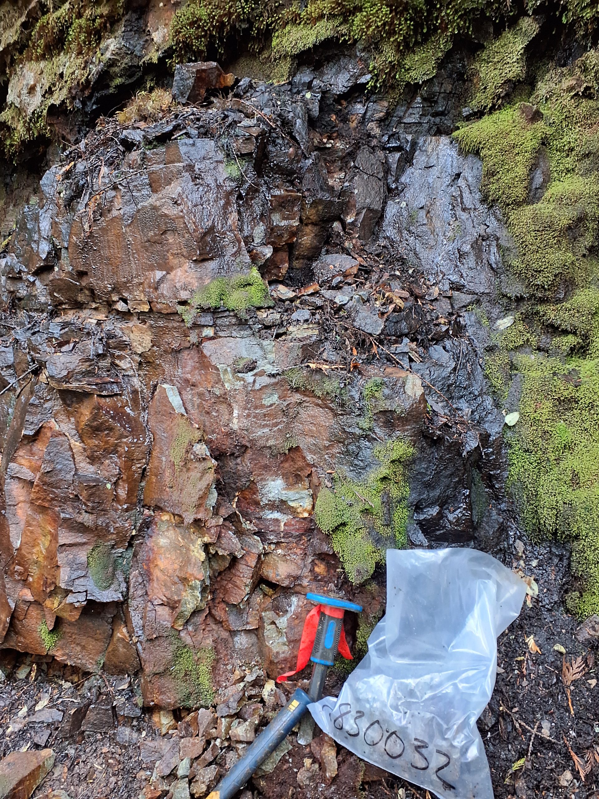 Frenchie Property, Alaska