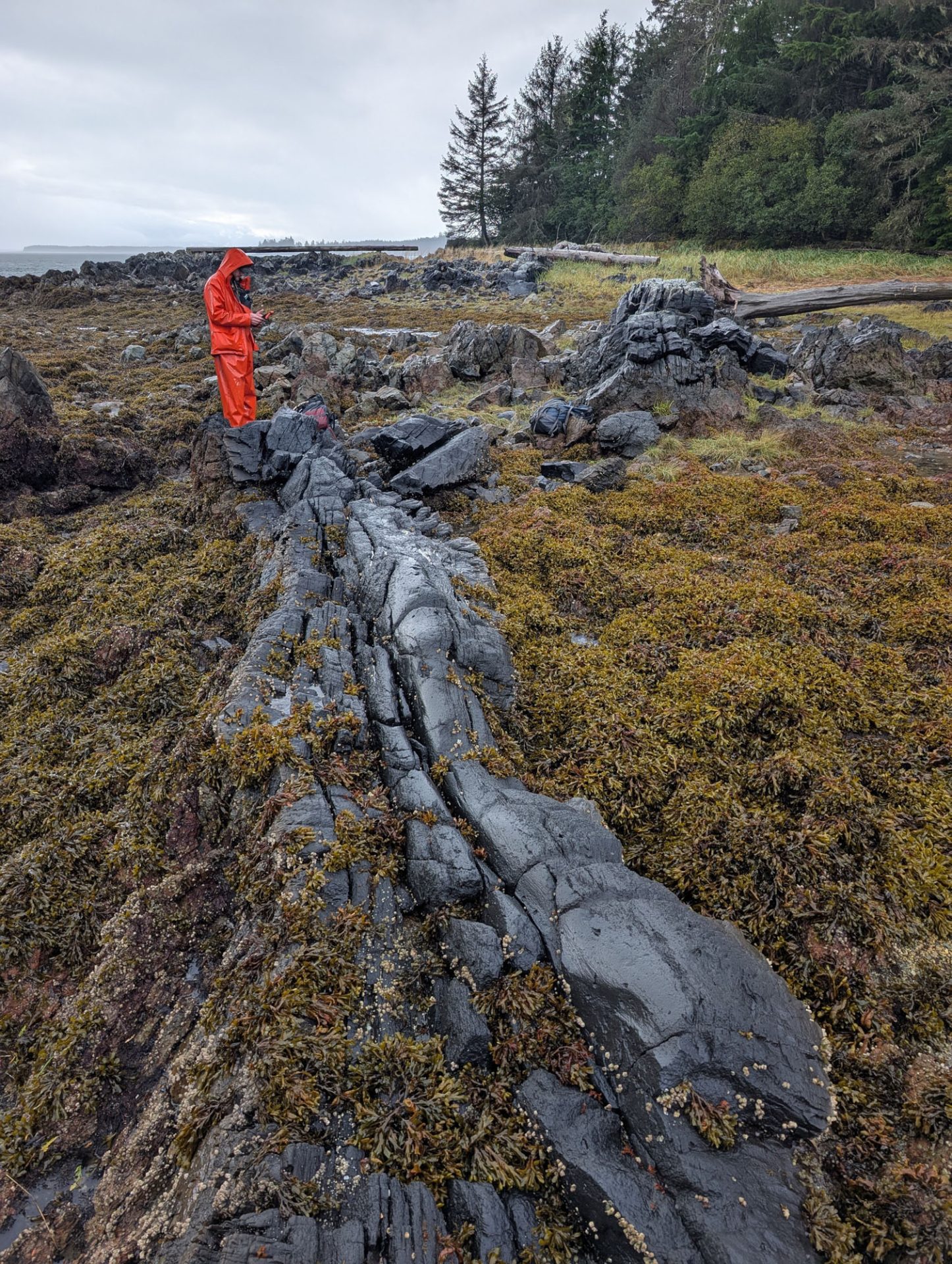 Wodski Property, Alaska