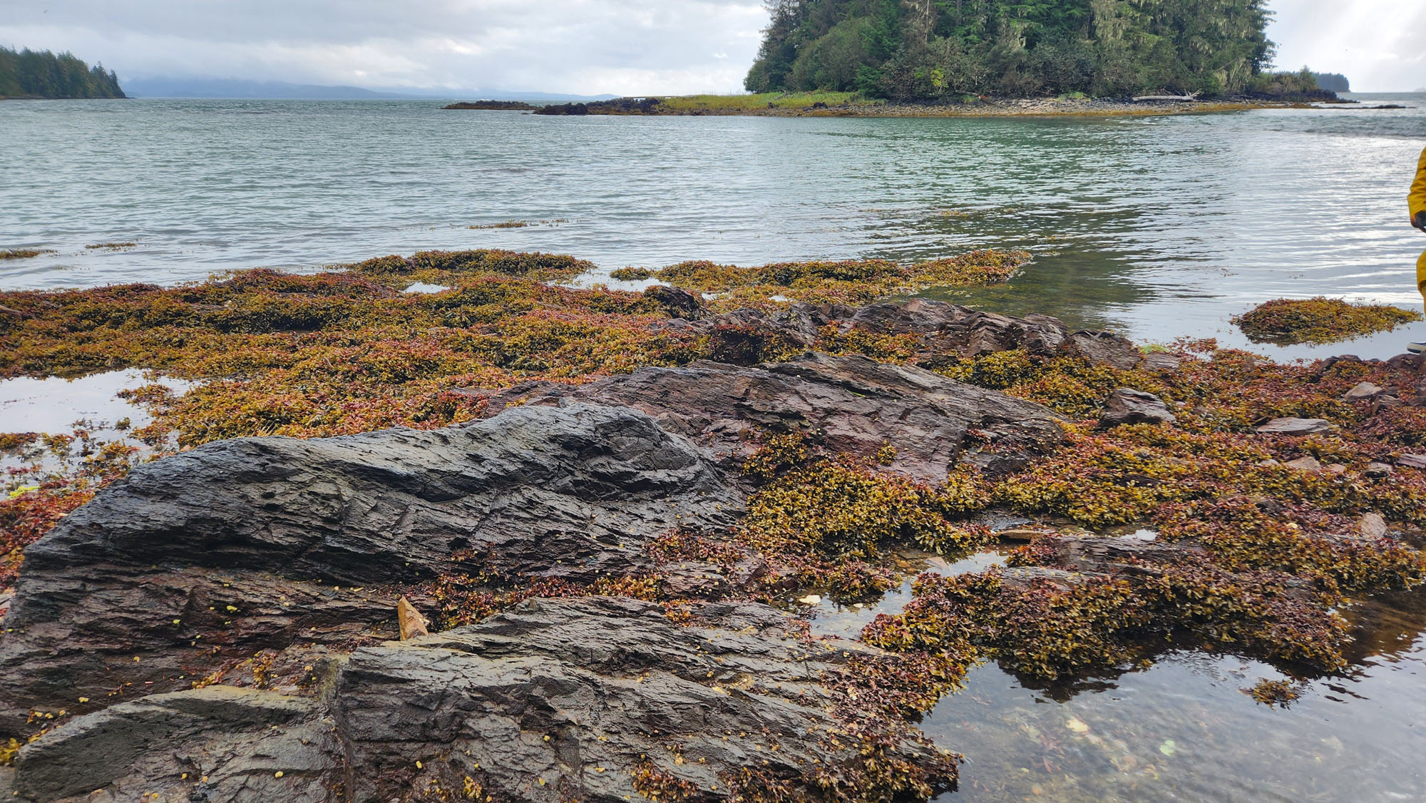 Wodski Property, Alaska
