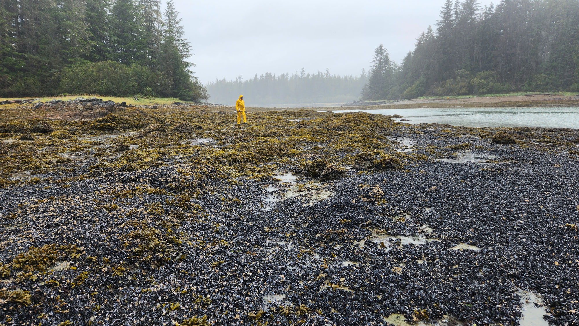 Wodski Property Alaska